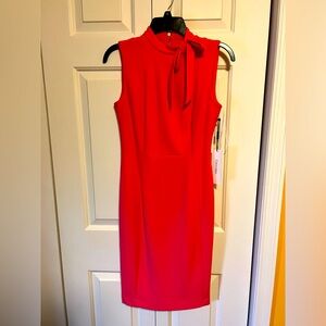 NWT. Pretty Pink dress. Smoke free and animal free home.